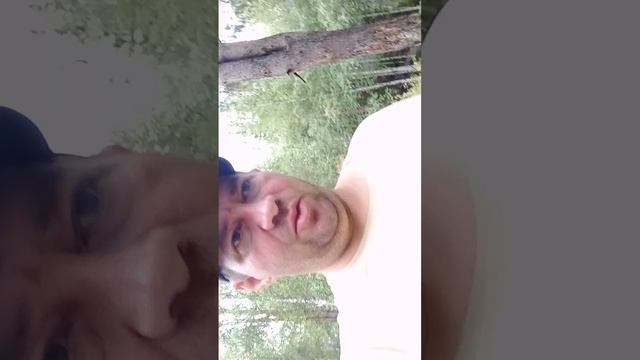 УЮТНЫЙ СТОЛИК В ЛЕСУ,КУДА МОЖНО ВЫБРАТЬСЯ НА ПИКНИК.
