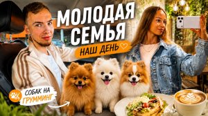 Молодая семья - обычный день. Отвезли собак на грумминг