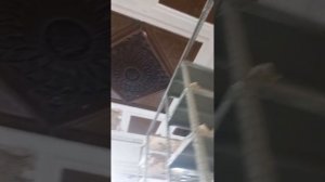 Оружейная слобода и Малая Дмитровка. Старинные усадьбы, дворы, подвалы.