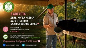 03.08.2026 Кормление коров онлайн. День, когда небеса дарят тепло и благословение семье.