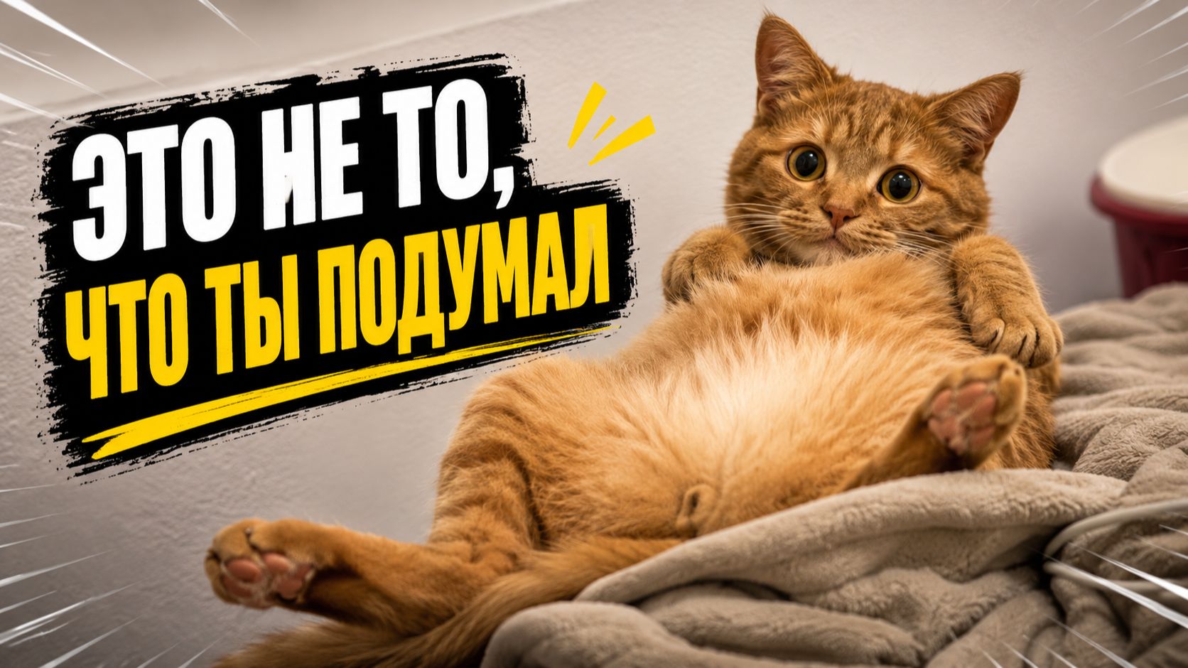 Смех до слёз: лучшие приколы №306