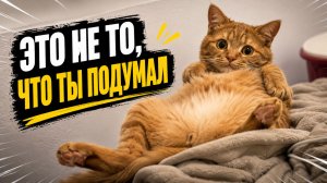 Смех до слёз: лучшие приколы №306