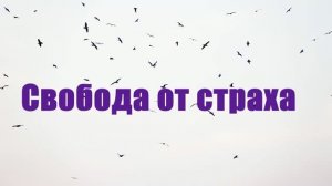 Свобода от страха. Ежедневное исповедание. Библия на каждый день.