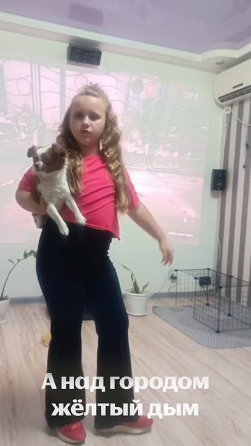 Звезда по имени Солнце
