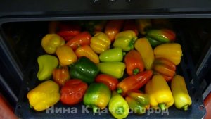 Сразу делаю побольше! Перец жареный на зиму и маринованный с чесноком без стерилизации.
