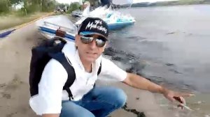 Мои подписчики