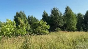 ХРОНИКА ДАЧНОГО ДНЯ✅❤️/жизнь здесь и сейчас ✅❤️