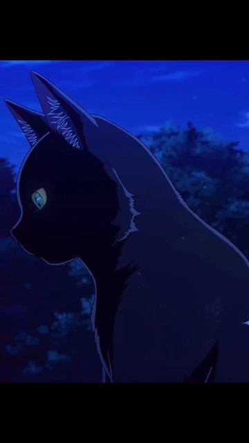 #anime #epic #fyp