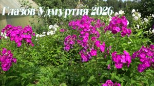 Цветочный Летний Огород СНТ НАДЕЖДА ГЛАЗОВ УДМУРТИЯ 2026