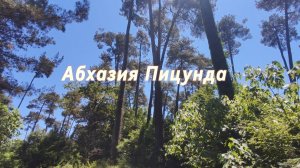 Абхазия | Пицунда что посмотреть?