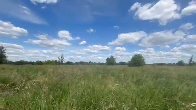 д Глиньково, западнее уч 61-б
