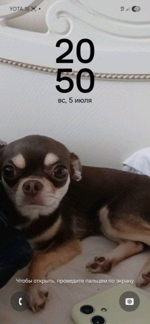 асмер еда ии рита