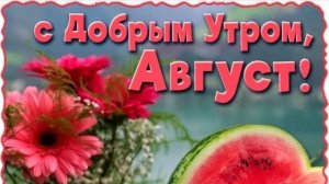 УТРЕННЯЯ ПОЧТА! ДЕНЬ АРБУЗА 🍉! ЗАСТУПНИКИ ВАСЕВСКИХ🤣🤣🤣
