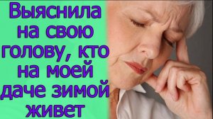 Выяснила на свою голову, кто на моей даче зимой живёт. Истории из жизни