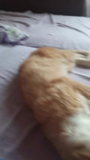 ппппп