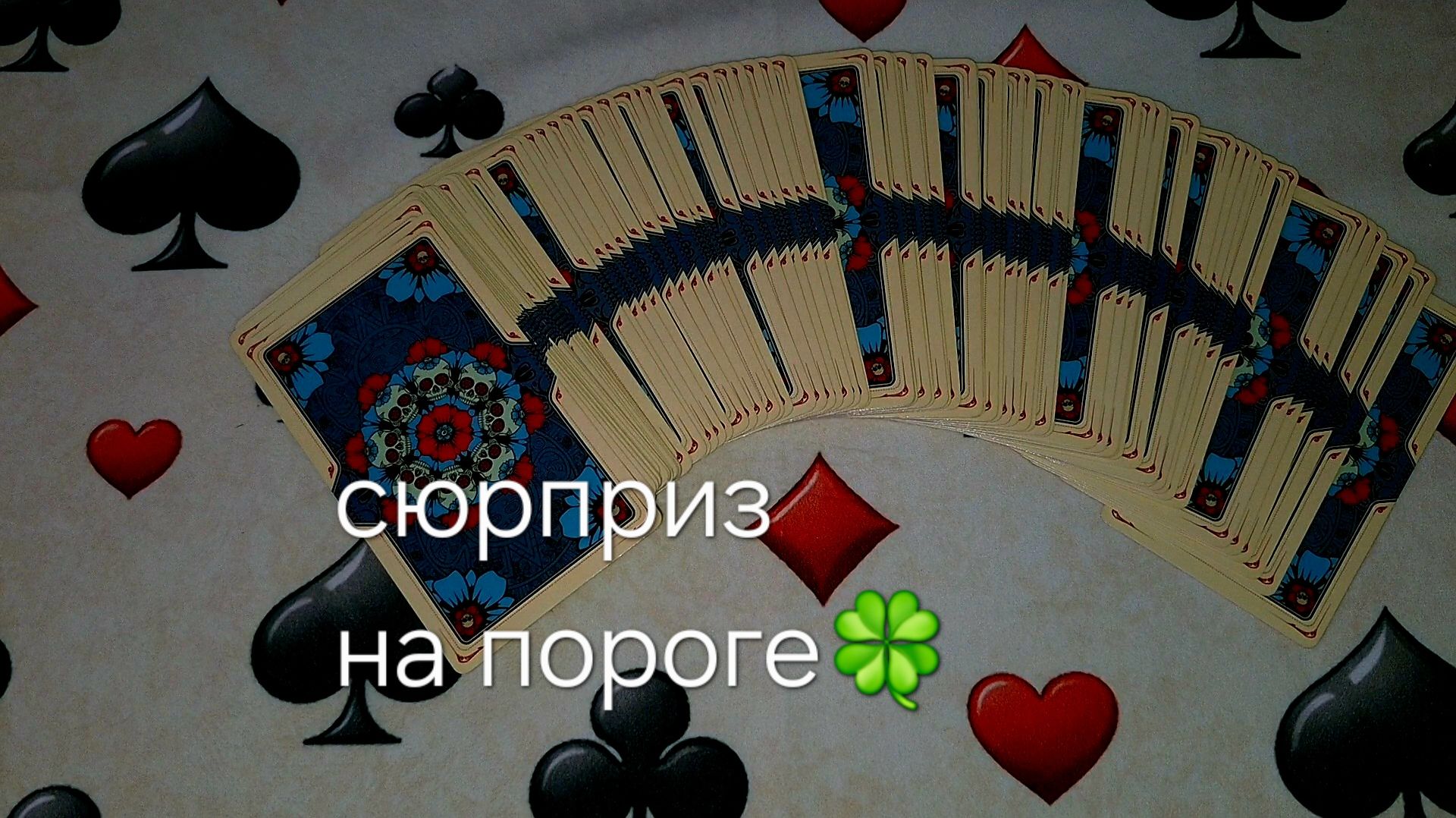 Сюрприз