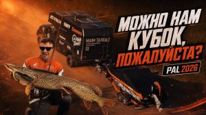 Можно нам КУБОК, пожалуйста? PAL2026