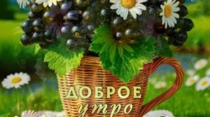 С добрым,летним утром!