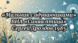 «Мальчик с одуванчиками» - ВИА «Синяя птица», вокал Сергей Дроздов 1985