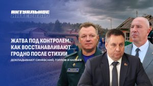 Ход уборочной кампании | Прогнозы на урожай | Ликвидация последствий непогоды. Актуальное интервью