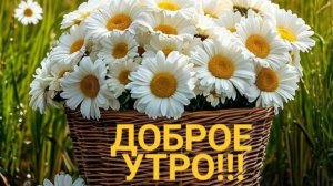 Доброе августовское утро!. Красивая музыкальная открытка.
