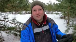 5 сигналов леса, которые предупредят об опасности