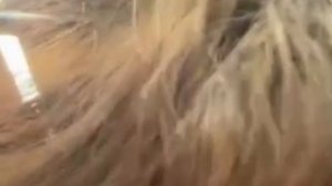 😱 Лифт дважды сорвался за одну поездку в новом доме ПИКа в Саларьево

Девушка ехала с братом вниз
