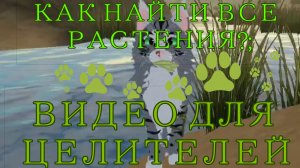 ВИДЕО ДЛЯ ЦЕЛИТЕЛЕЙ. Где и как, найти все растения из палаты Целителя