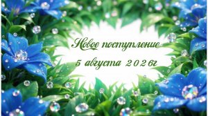 Новое поступление 5-08-2026
