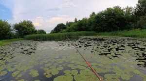 МУРАШКИ ПО КОЖЕ ОТ УВИДЕННОГО В КУВШИНКАХ! Рыбалка на спиннинг.