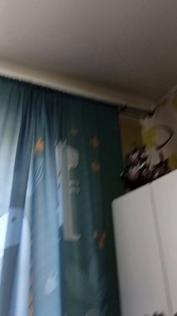 финг попугая выпустил