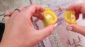 НАГЛАЯ ЦЫПОЧКА томат/обзор