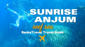 Один из лучших рифов Египта? SUNRISE ANJUM Resort