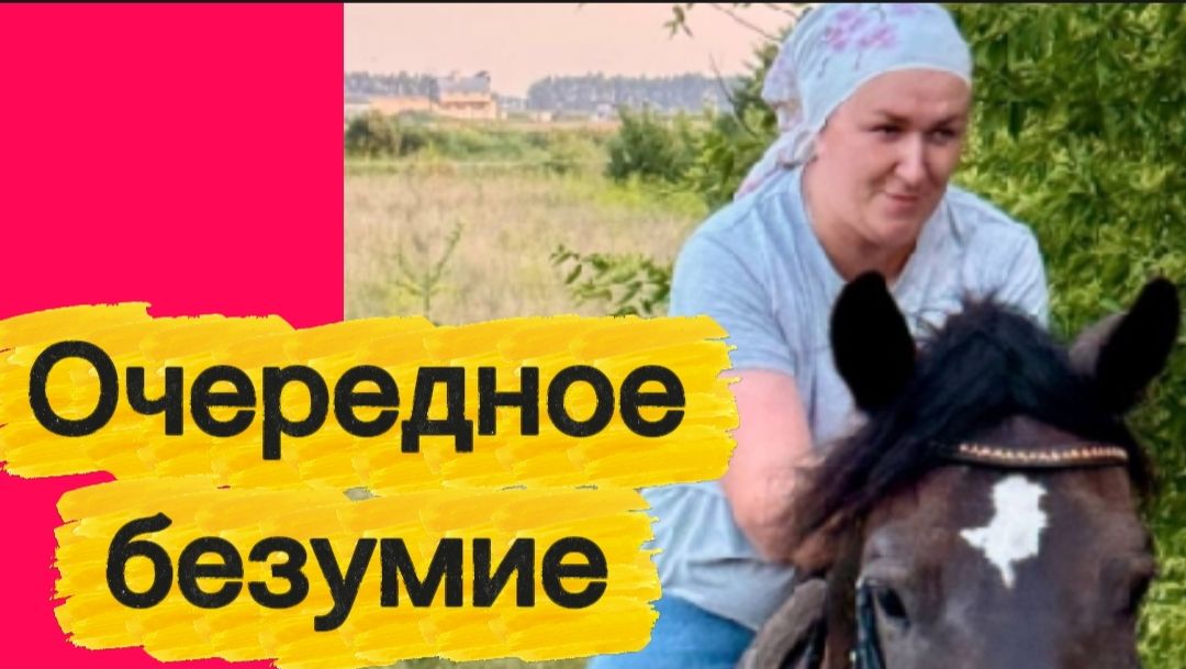 Что это за безумие?...