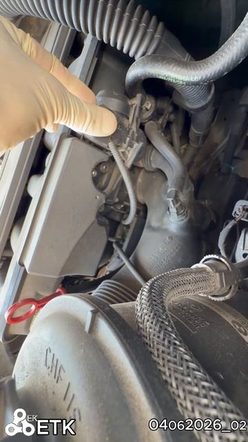 Диагностика BMW E65 M54