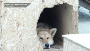 Программа «Главные новости» на 8 канале от 03.08.2026 Часть 2