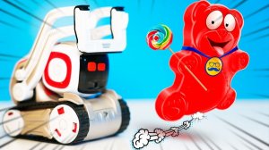 РОБОТ COZMO ОХОТИТЬСЯ ЗА МЕДВЕДЕМ ВАЛЕРОЙ ИЛИ ПОСЫЛКА ИЗ КИТАЯ