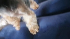 lv_0_20260803213703.mp4