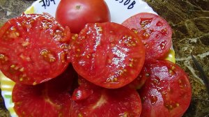 Старинный русский помидор ТЫРНОВСКИЙ РОЗОВЫЙ. №704.  Классика томатного мира.