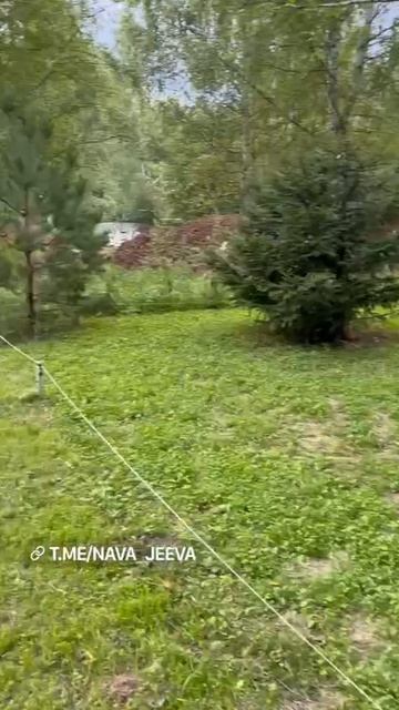 Знакомство