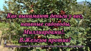 Как вынимают деньги у вас, наивные садоводы. Миллиардами!.  В.Железов против!