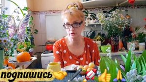 🖋️🚀ЗНАЛА БЫ ,СОЛОМКУ ПОДСТЕЛИЛА 🔥💃МОИ БУДНИ 🚀🖋️