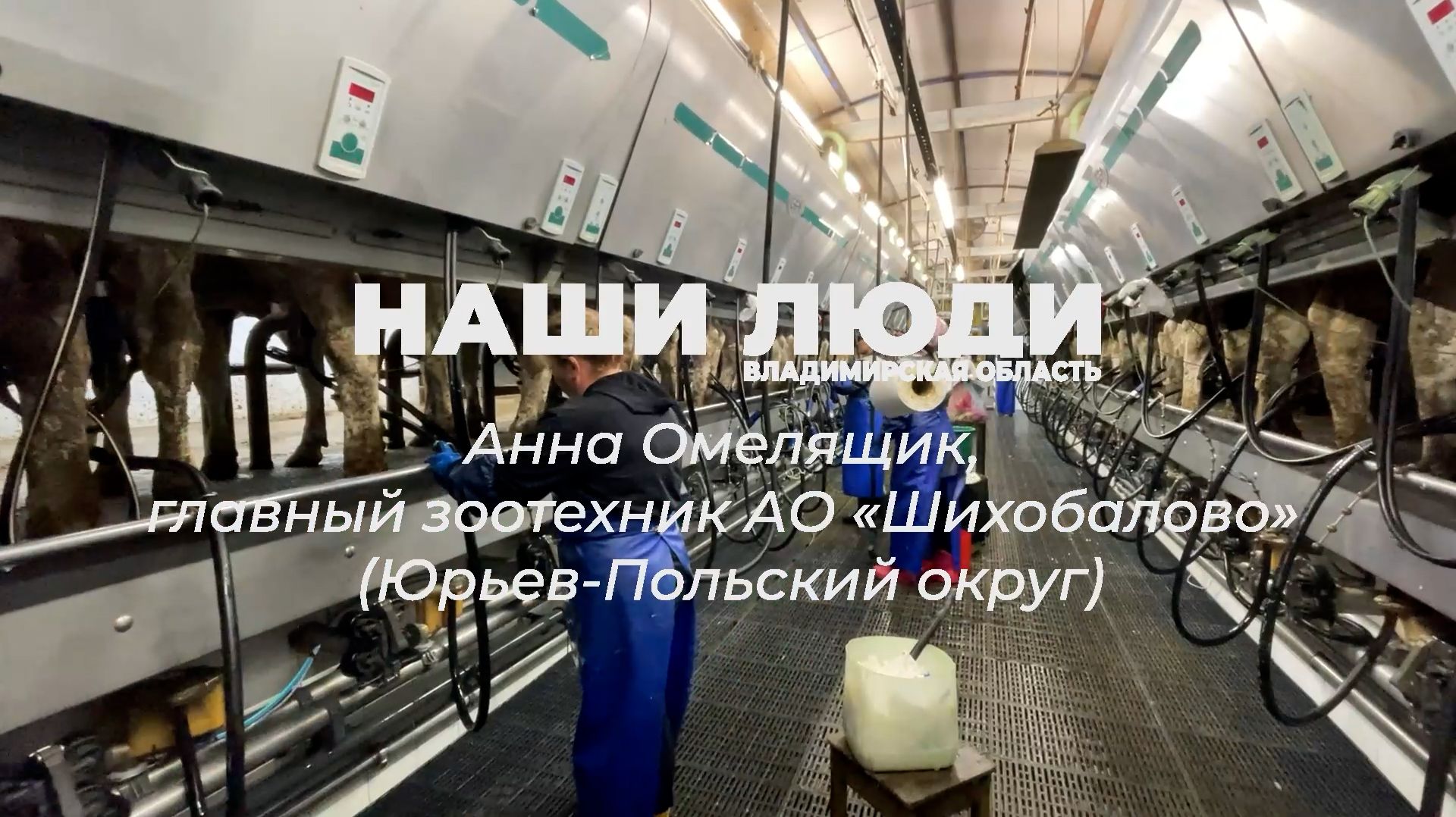 Наши люди. Владимирская область
