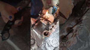 Ритуал. Снимаем Чёрное Венчание, приворот с покойником.