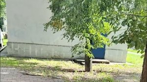 Домосед ты из какой дырки вылез