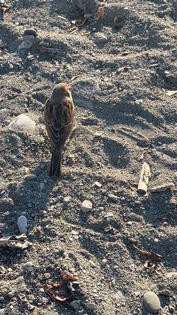 Кто ты #видео #cat #личность