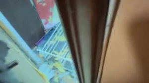Девушка взяла с улицы собаку и оставила её одну, пёс от испуга что её бросили зделал апокалипсис