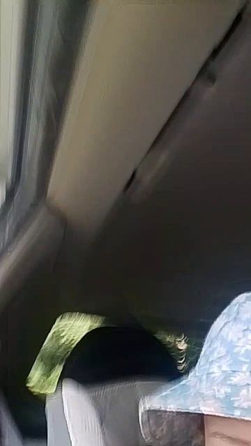 отпуск подпишись если любишь лето