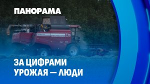 Люди большого урожая: кто создает рекорды белорусской жатвы? Панорама