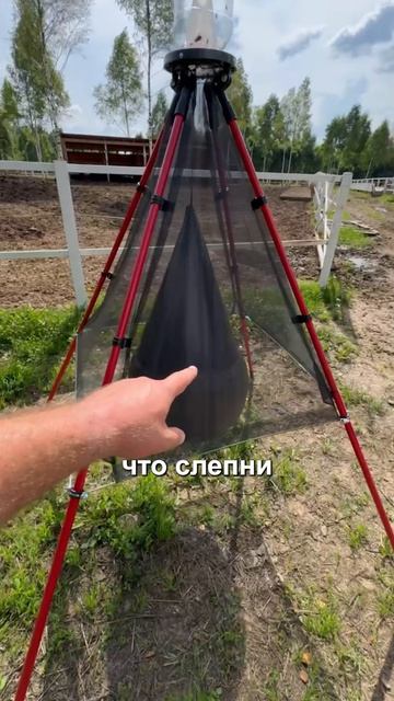 Вас тоже замучили слепни? Попробуй ЭТОТ эффективный способ борьбы с ними #ферма #природа #животные